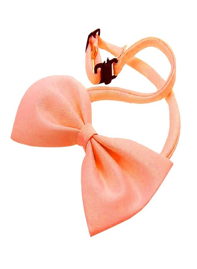 Nema NM Nema Fashion Dog Bowknot Tie - Orange - Image 2